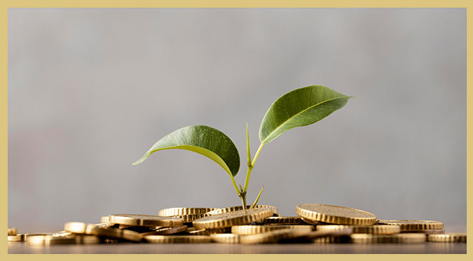 Understanding Small Cap Funds: A Beginner's Guide